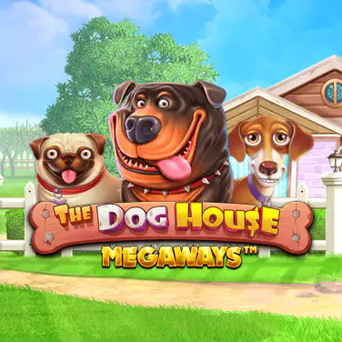 The Dog House Megaways Evolvebet Casino